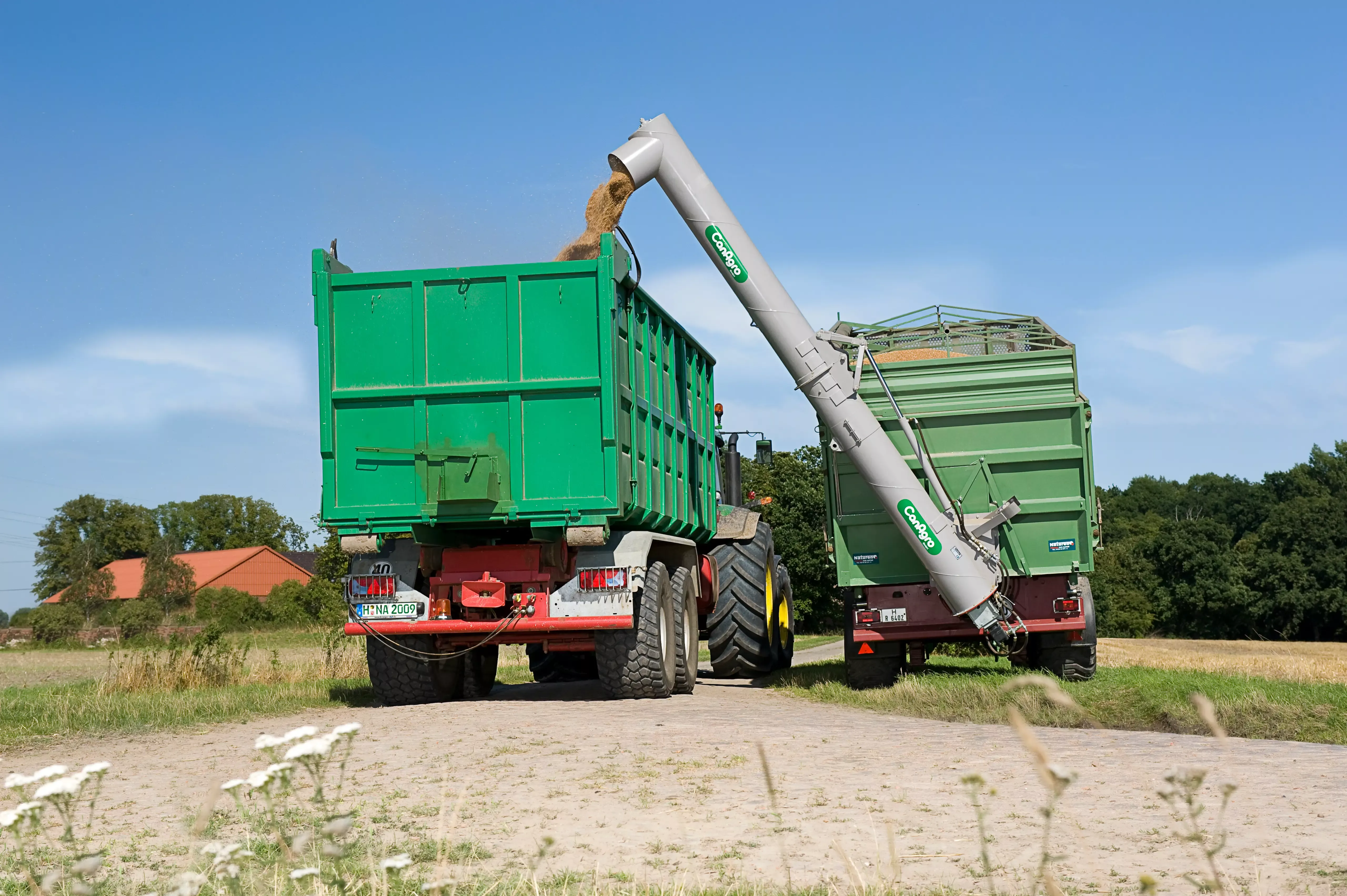 Bildbeschreibungstext